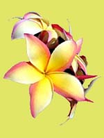 my inspiration for a tatoo2